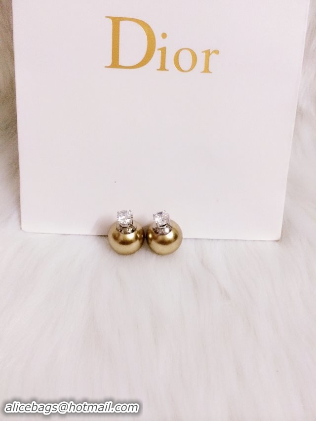 Most Popular Dior Earrings DJ14072837