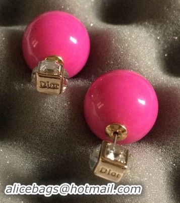 Top Design Dior Earrings DJ14072830