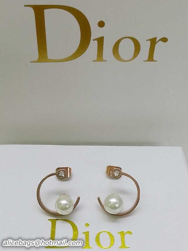 Cheapest Dior Earrings DJ14072841