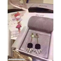 Expensive Dior Earrings DJ14072890