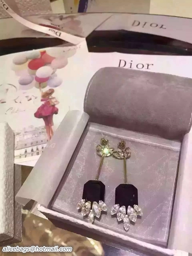 Expensive Dior Earrings DJ14072890