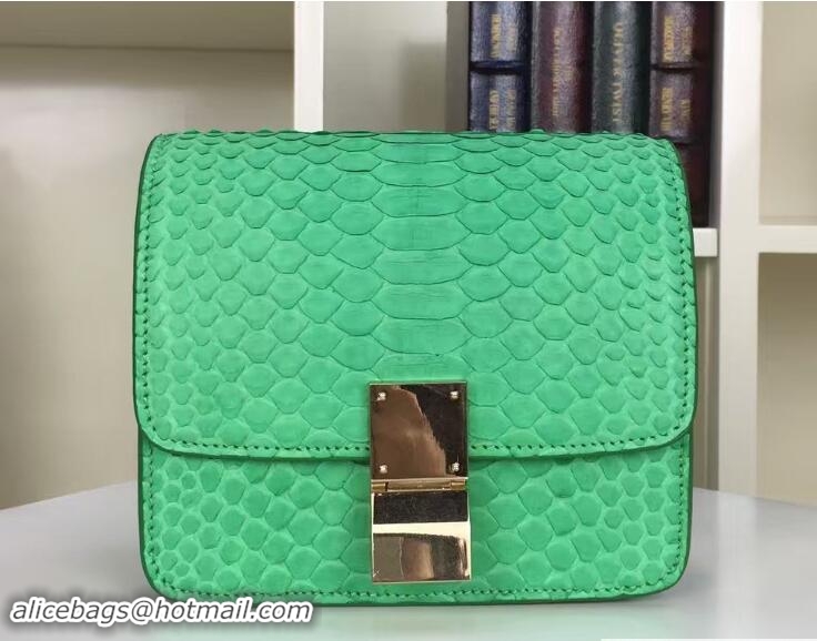 New Style Celine Python Leather Classic Box Small Bag 703083 Green