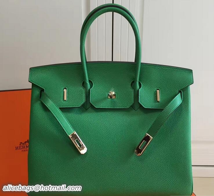 Stylish Hermes Clemence Leather Birkin 25cm Bag 81505 Green with Gold Hardware