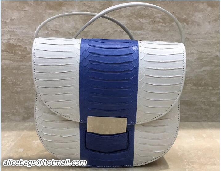 Stylish Celine Watersnake Small Trotteur Shoulder Bag 111201 Linen/Washed Blue 2017