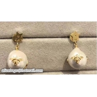 Best Grade Dior Earrings 706076 2018