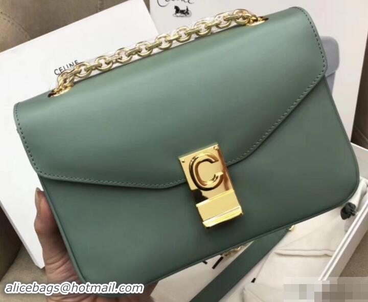 Sumptuous Celine Shiny Calfskin Medium C Bag Light Green 187253 2019