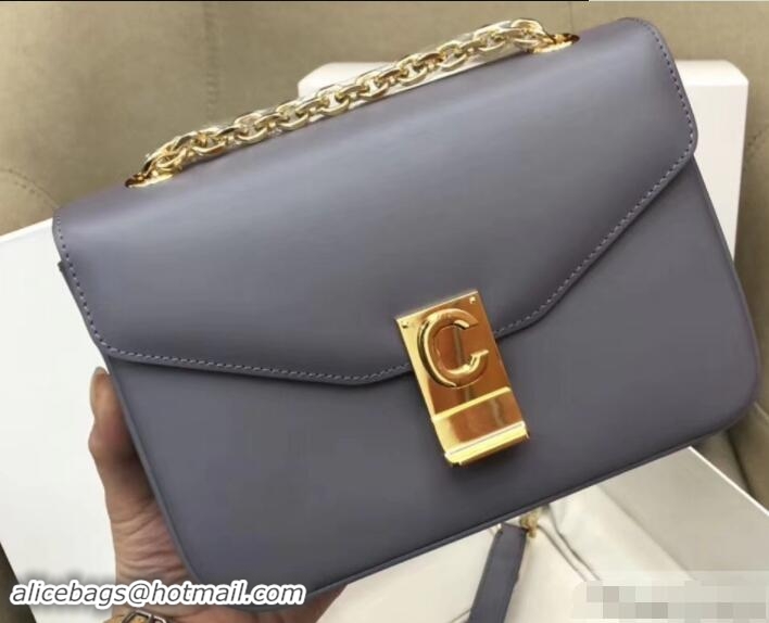 Fashion Celine Shiny Calfskin Medium C Bag Gray 187253 2019