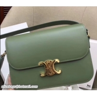 Discount Celine Shiny Calfskin Medium Triomphe Bag 187363 Light Green 2019