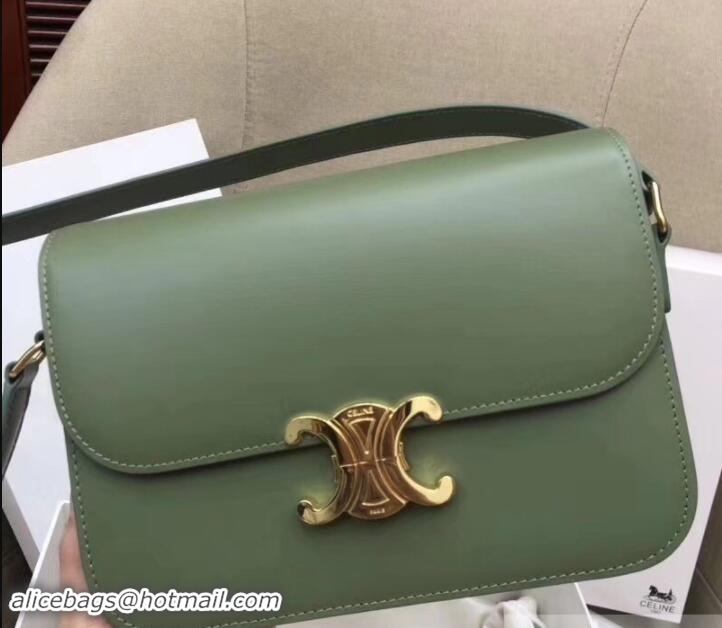 Discount Celine Shiny Calfskin Medium Triomphe Bag 187363 Light Green 2019