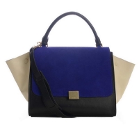 Newest 2012 Celine T...