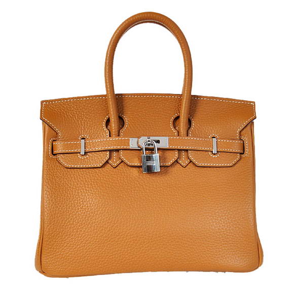 Hermes Birkin 25CM Tote Bags Togo Leather Camel Silver