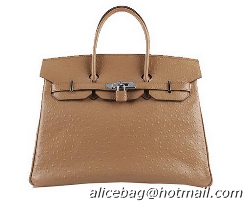 Hermes Birkin 35CM Tote Bags Apricot Ostrich Leather H6089 Silver