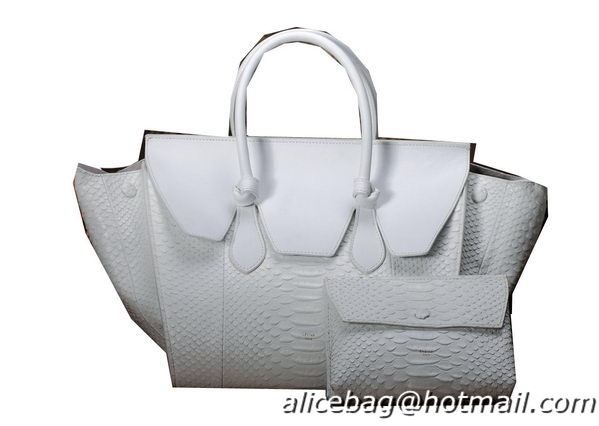 Celine Tie Nano Top Handle Bag Original Snake Leather C3052 White