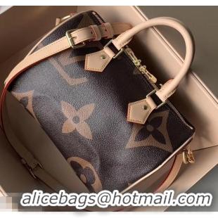 Cheap Louis Vuitton Monogram Canvas and Reverse Speedy 25 Bandouliere Bag M41113 2019 