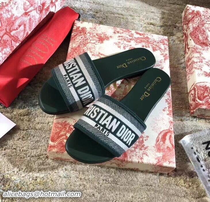 Imitation Dior Woven Logo Dway Mules Slipper Sandals CD1802 Green 2019