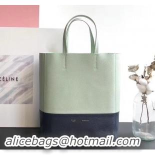 Perfect Celine Small Cabas Shopping Bag in Grained Calfskin 189813 Pale Green/Black 2019