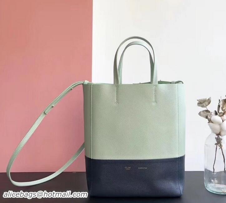 Perfect Celine Small Cabas Shopping Bag in Grained Calfskin 189813 Pale Green/Black 2019