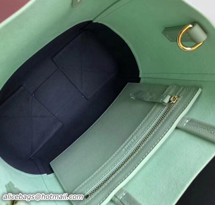 Perfect Celine Small Cabas Shopping Bag in Grained Calfskin 189813 Pale Green/Black 2019