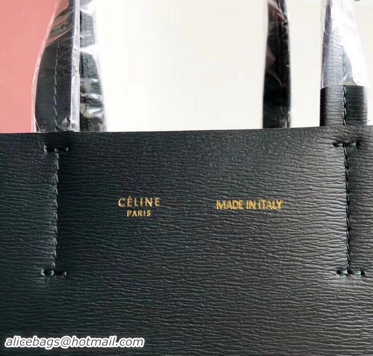 Good Quality Celine Small Cabas Shopping Bag in Grained Calfskin 189813 Dark Green 2019