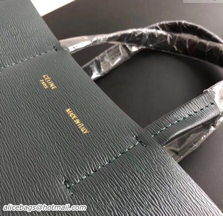 Good Quality Celine Small Cabas Shopping Bag in Grained Calfskin 189813 Dark Green 2019