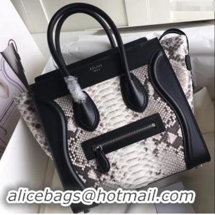 Sumptuous Celine Python Luggage Micro Bag 419011 Gray