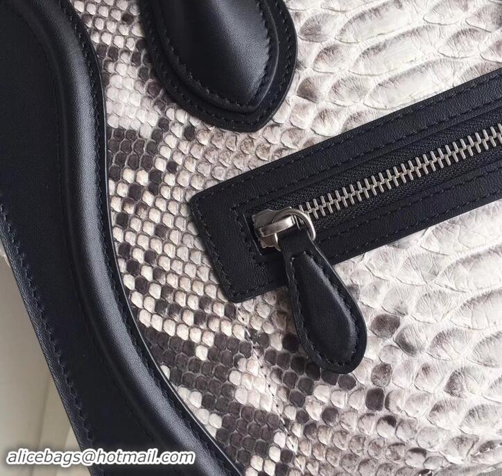 Sumptuous Celine Python Luggage Micro Bag 419011 Gray