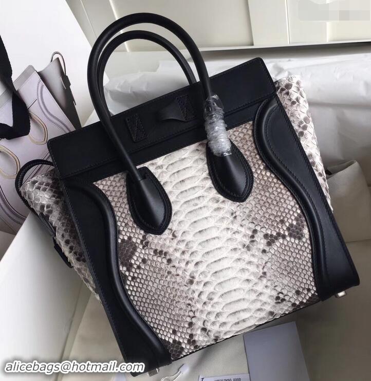 Sumptuous Celine Python Luggage Micro Bag 419011 Gray