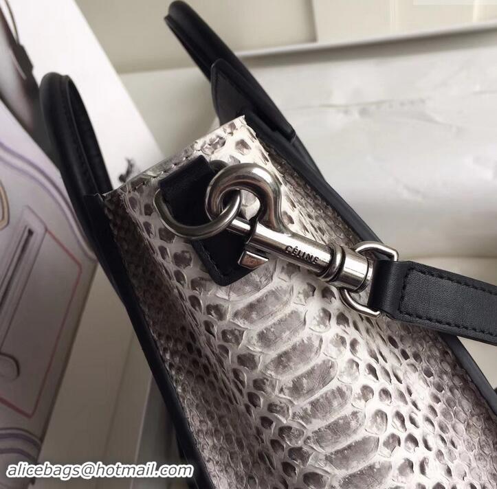 Fashion Celine Python Luggage Nano Bag 419012 Gray