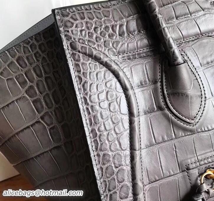 Chic celine crocodile pattern phantom luggage 419018 gray