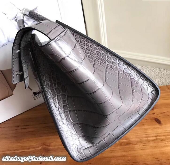 Chic celine crocodile pattern phantom luggage 419018 gray