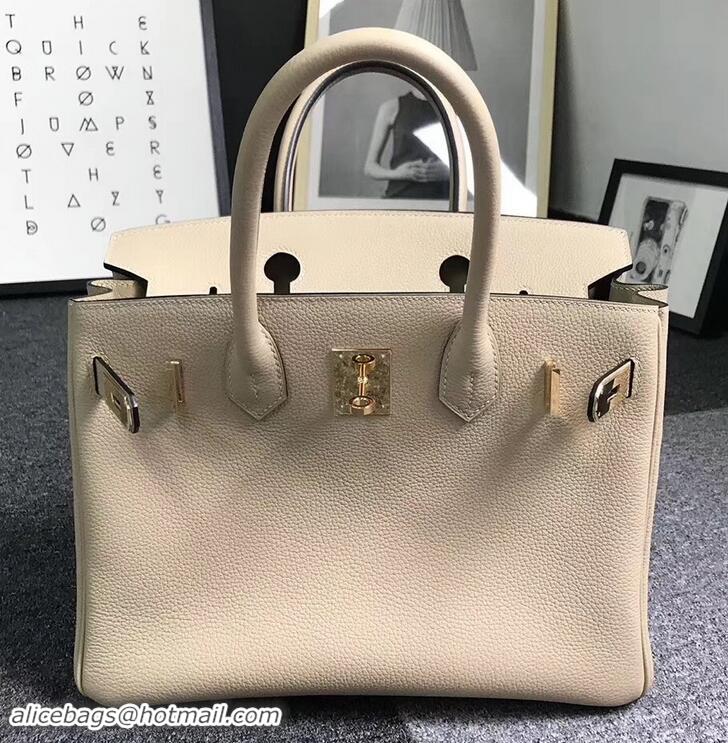 New Fashion Hermes Birkin 25cm Bag in Original Togo Leather Bag 423011 Poussiere