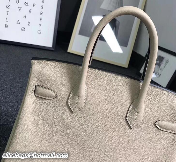 New Fashion Hermes Birkin 25cm Bag in Original Togo Leather Bag 423011 Poussiere