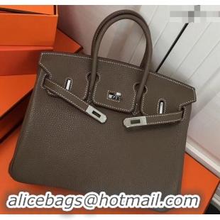 Best Luxury Hermes Birkin 25cm Bag Etoupe in Togo Leather With Silver Hardware 423012