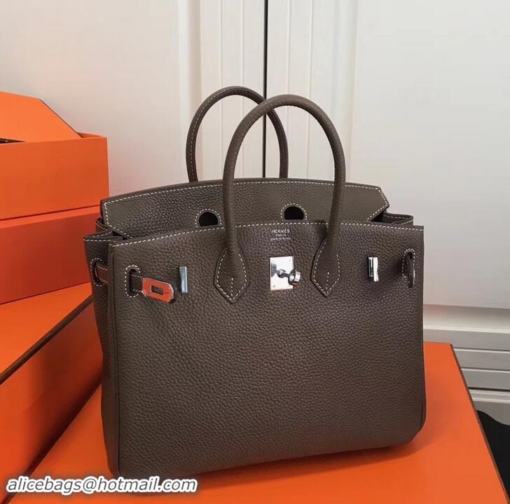 Best Luxury Hermes Birkin 25cm Bag Etoupe in Togo Leather With Silver Hardware 423012