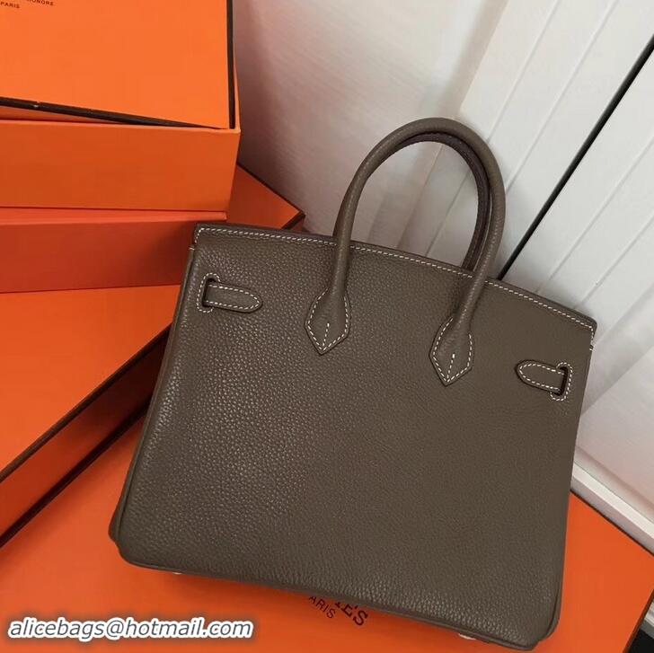 Best Luxury Hermes Birkin 25cm Bag Etoupe in Togo Leather With Silver Hardware 423012