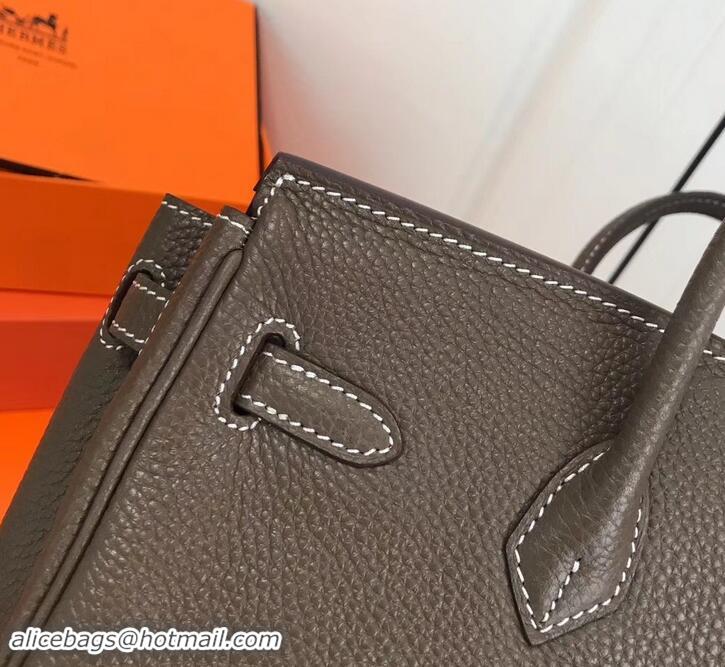 Best Luxury Hermes Birkin 25cm Bag Etoupe in Togo Leather With Silver Hardware 423012