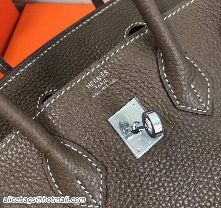 Best Luxury Hermes Birkin 25cm Bag Etoupe in Togo Leather With Silver Hardware 423012