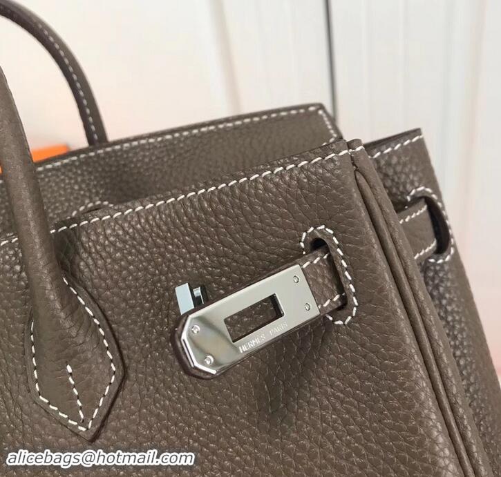 Best Luxury Hermes Birkin 25cm Bag Etoupe in Togo Leather With Silver Hardware 423012