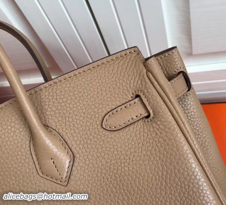 Grade Design Hermes Birkin 25cm Bag Apricot in Togo Leather With Silver Hardware 423012