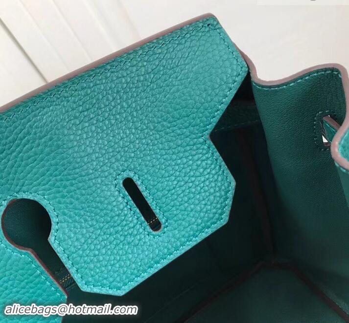 Shop Duplicate Hermes Birkin 25cm Bag Peacock Green in Togo Leather With Gold Hardware 423012