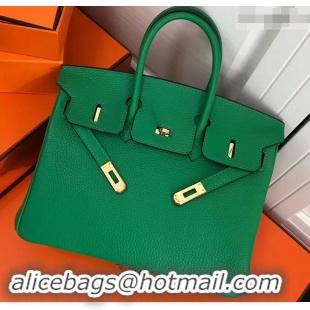 Discount Hermes Birkin 25cm Bag Bamboo Green in Togo Leather With Gold Hardware 423012