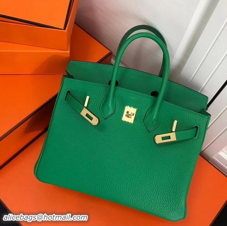 Discount Hermes Birkin 25cm Bag Bamboo Green in Togo Leather With Gold Hardware 423012