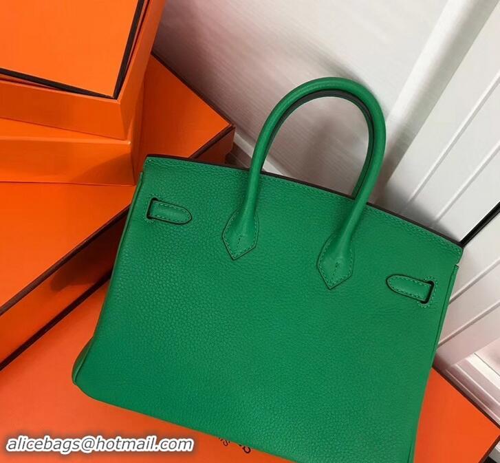 Discount Hermes Birkin 25cm Bag Bamboo Green in Togo Leather With Gold Hardware 423012