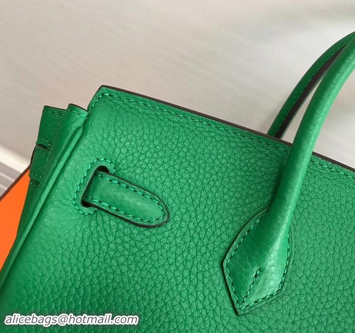 Discount Hermes Birkin 25cm Bag Bamboo Green in Togo Leather With Gold Hardware 423012