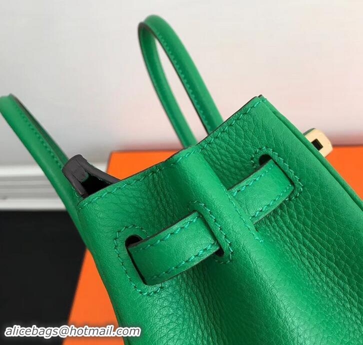 Discount Hermes Birkin 25cm Bag Bamboo Green in Togo Leather With Gold Hardware 423012