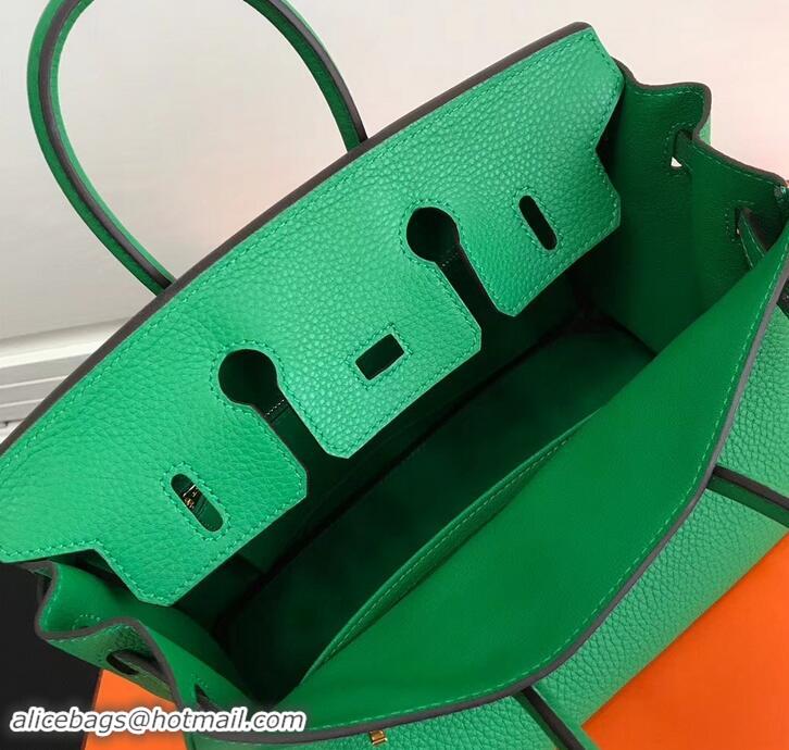 Discount Hermes Birkin 25cm Bag Bamboo Green in Togo Leather With Gold Hardware 423012