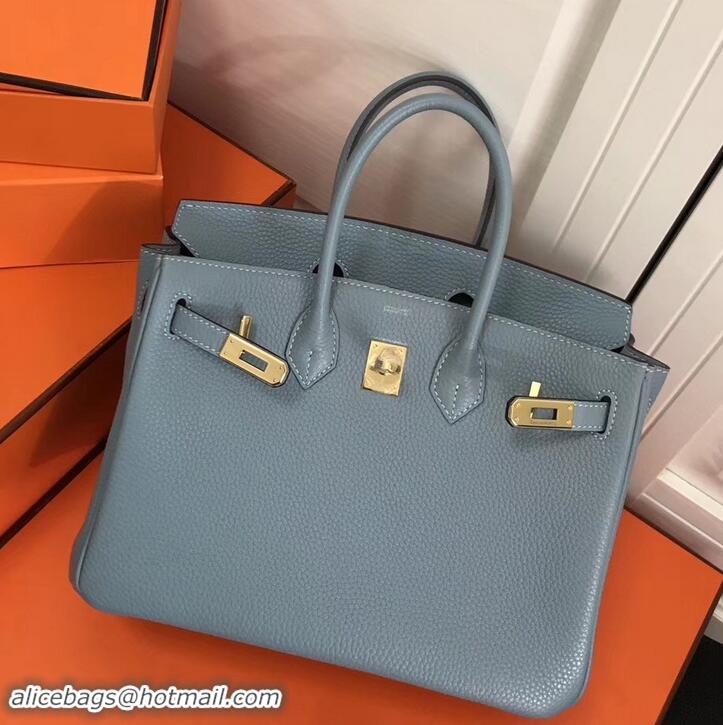 Best Quality Hermes Birkin 25cm Bag Baby Blue in Togo Leather With Gold Hardware 423012