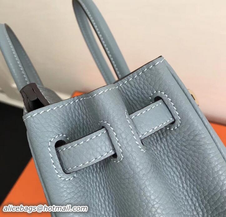 Best Quality Hermes Birkin 25cm Bag Baby Blue in Togo Leather With Gold Hardware 423012