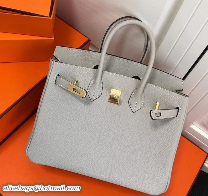 Best Price Hermes Birkin 25cm Bag Pearl Gray in Togo Leather With Gold Hardware 423012