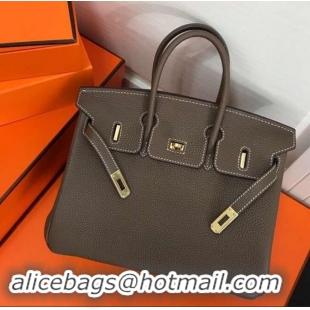 Popular Style Hermes Birkin 25cm Bag Etoupe in Togo Leather With Gold Hardware 423012